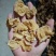羊肚耳单片无根单片沙耳羊肚耳电商货羊肚耳批发零售自产自销