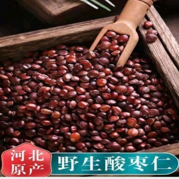 正宗酸枣仁正品**养野生炒熟酸枣仁批发