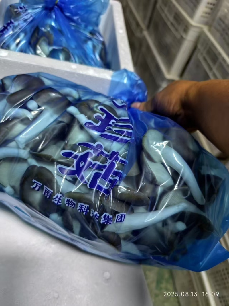 精品秀珍双A可接商超加工厂一手货源