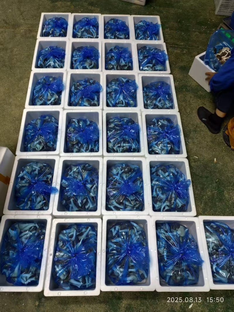 精品秀珍双A可接商超加工厂一手货源