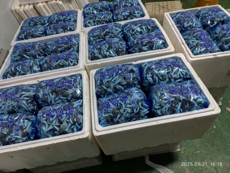 精品单A可接商超加工厂一手货源