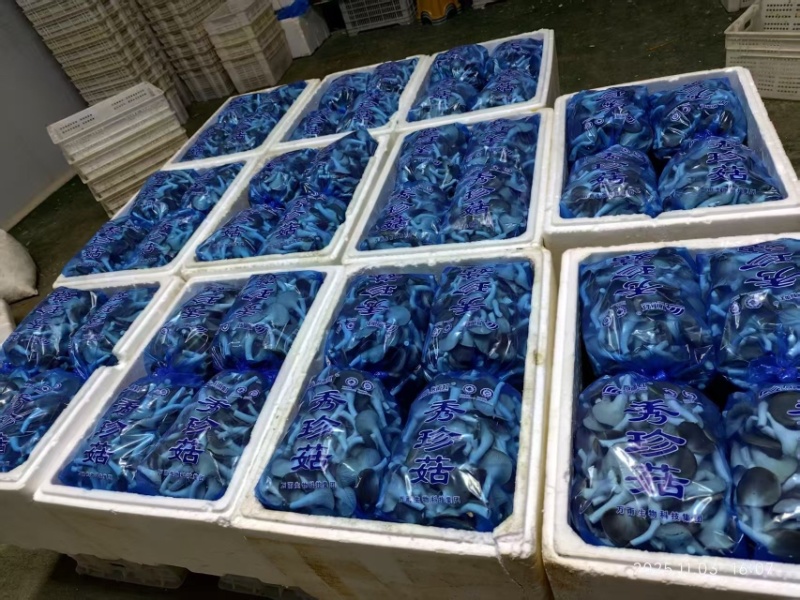 精品单A可接商超加工厂一手货源
