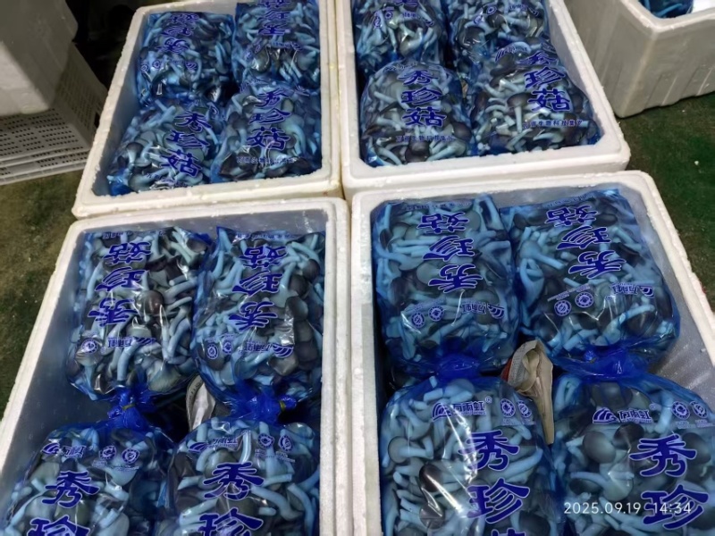 精品单A可接商超加工厂一手货源