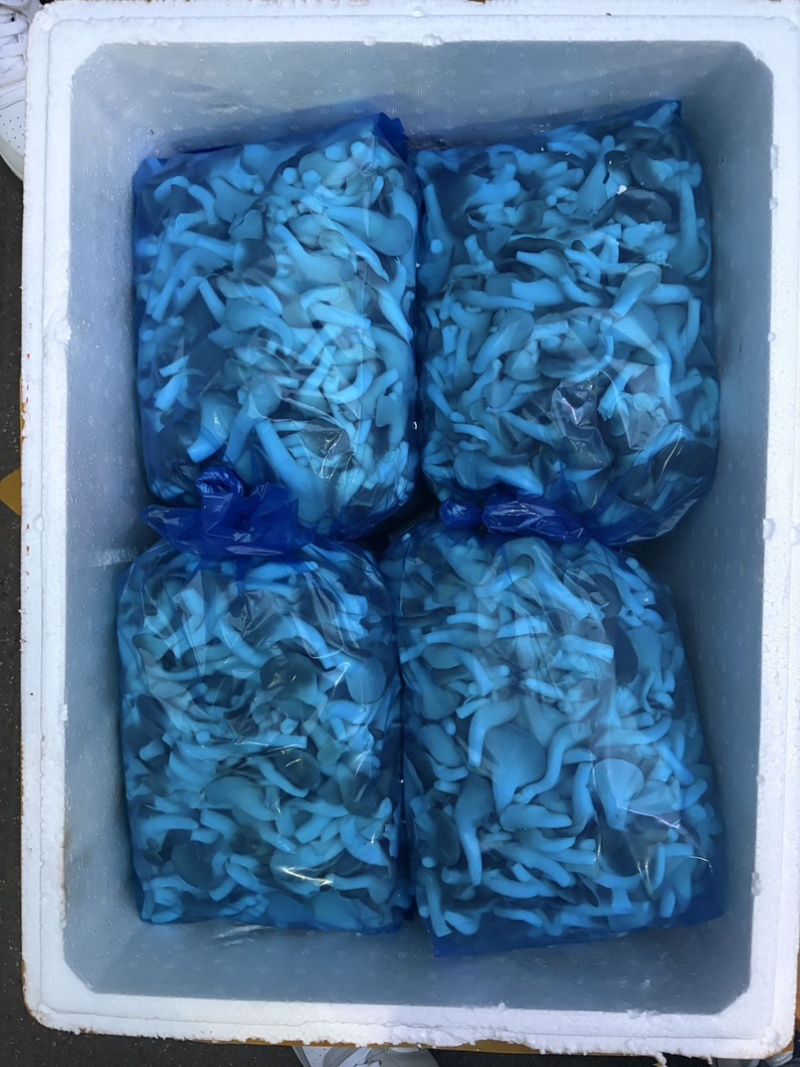 B级菇量大从优可接商超加工厂