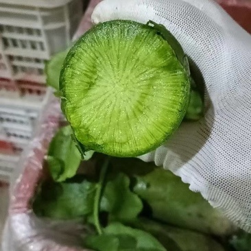 天星二号大量出售