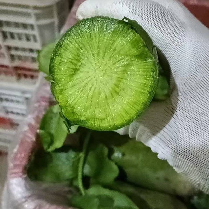天星二号大量出售