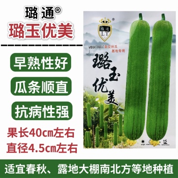 璐玉优美丝瓜种子早熟高产杂交清香丝瓜种子春秋两季庭院蔬菜