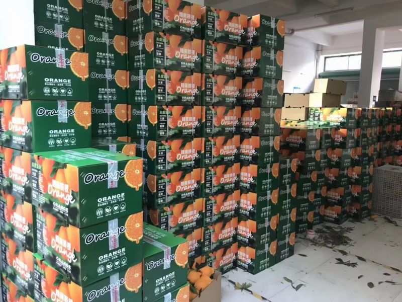 脐橙赣南脐橙，电商微商社区团购一件代发