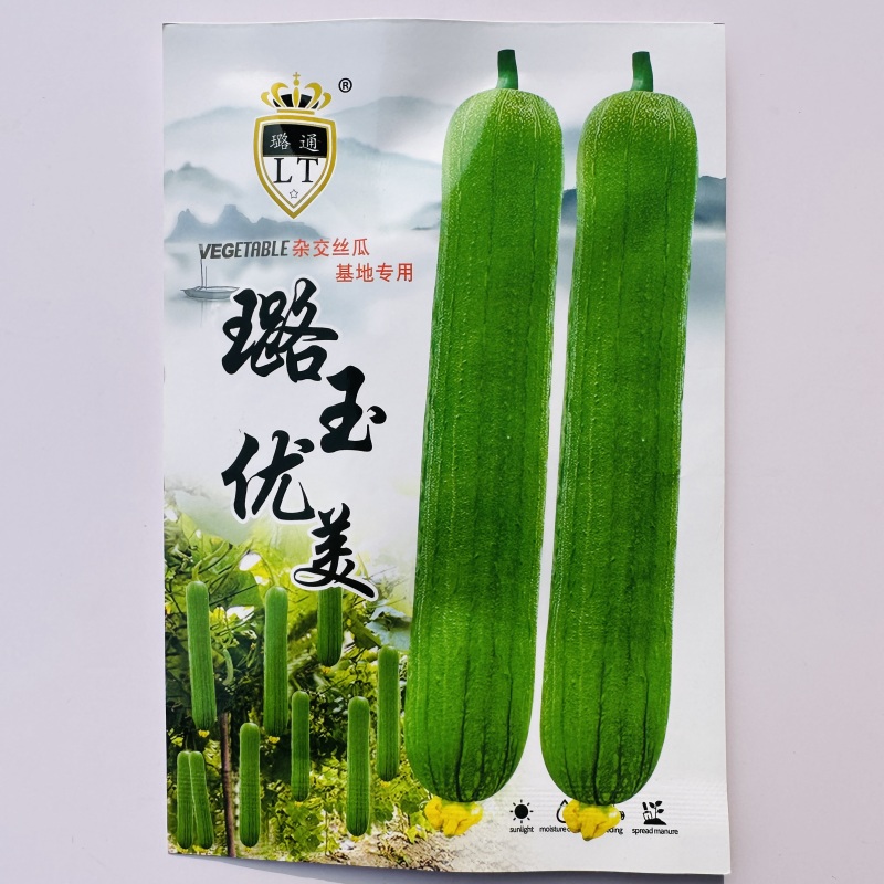 璐玉优美丝瓜种子早熟高产杂交清香丝瓜种子春秋两季庭院蔬菜