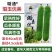 璐玉优美丝瓜种子早熟高产杂交清香丝瓜种子春秋两季庭院蔬菜