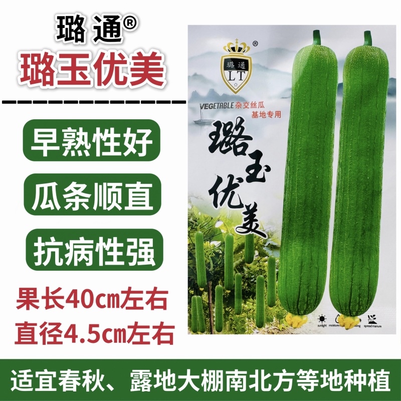璐玉优美丝瓜种子早熟高产杂交清香丝瓜种子春秋两季庭院蔬菜
