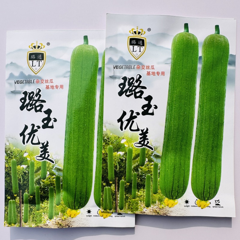 璐玉优美丝瓜种子早熟高产杂交清香丝瓜种子春秋两季庭院蔬菜