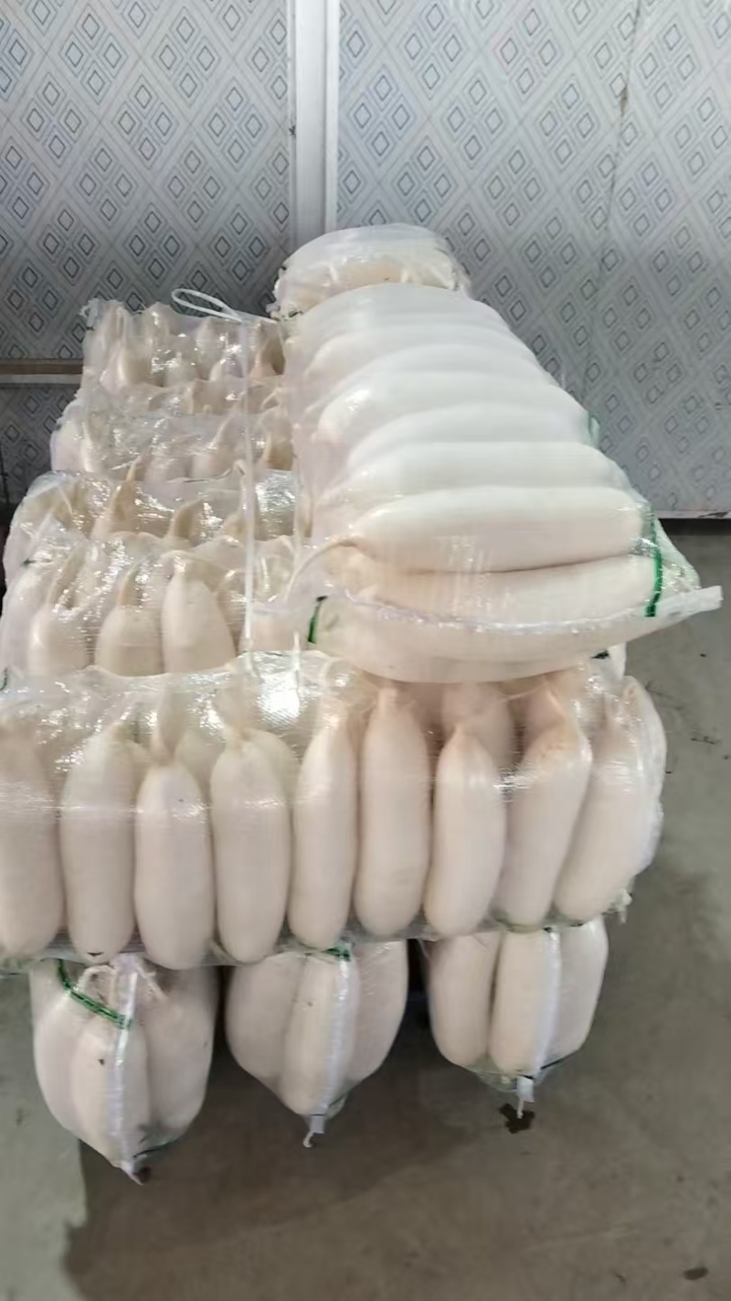 白萝卜，大量有货，源头产地直发，需要的老板联系