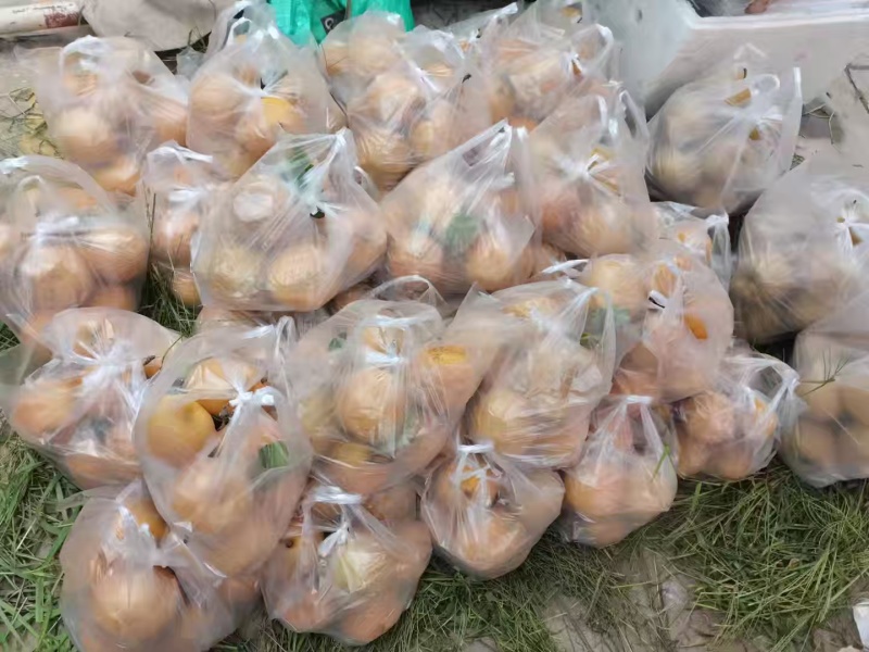 云南玉溪华宁梨