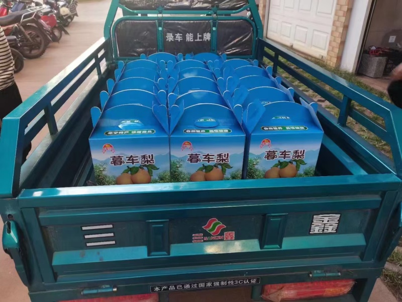云南玉溪华宁梨