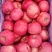 高山上的富士苹果