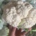 白花花菜，湖北白花花菜诚信代办，发货装车一条龙服务