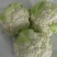 白花花菜，湖北白花花菜诚信代办，发货装车一条龙服务