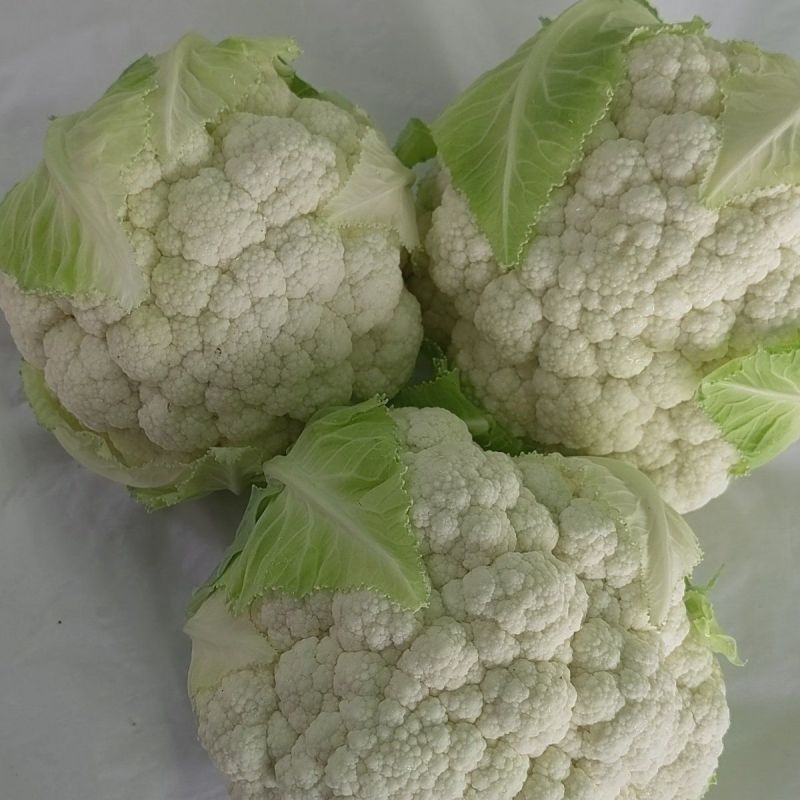 白花花菜，湖北白花花菜诚信代办，发货装车一条龙服务