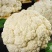 白花花菜，湖北白花花菜诚信代办，发货装车一条龙服务