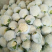 白花花菜，湖北白花花菜诚信代办，发货装车一条龙服务