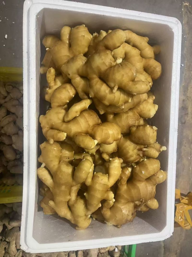 热卖_电商货-【市场】(大黄姜风干姜/水洗姜/沙土姜)等