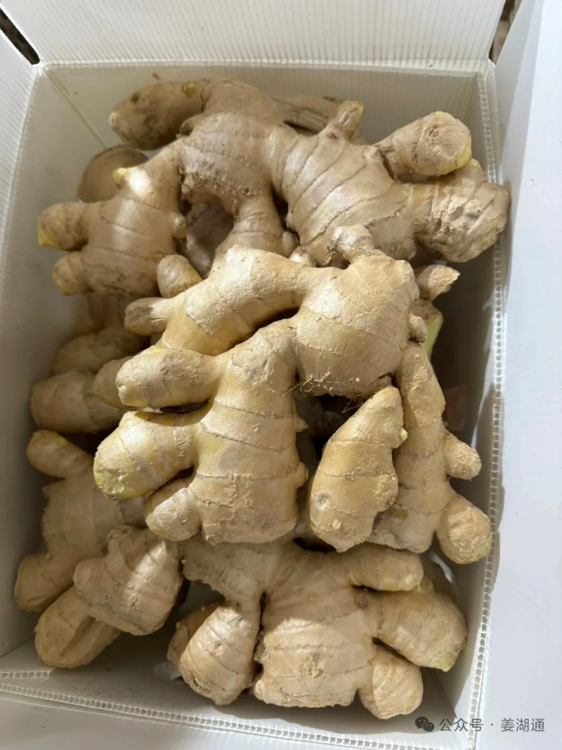 热卖_电商货-【市场】(大黄姜风干姜/水洗姜/沙土姜)等