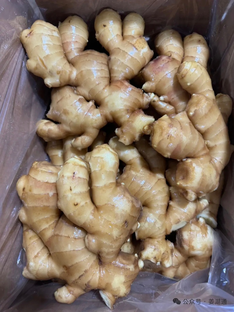 热卖_电商货-【市场】(大黄姜风干姜/水洗姜/沙土姜)等