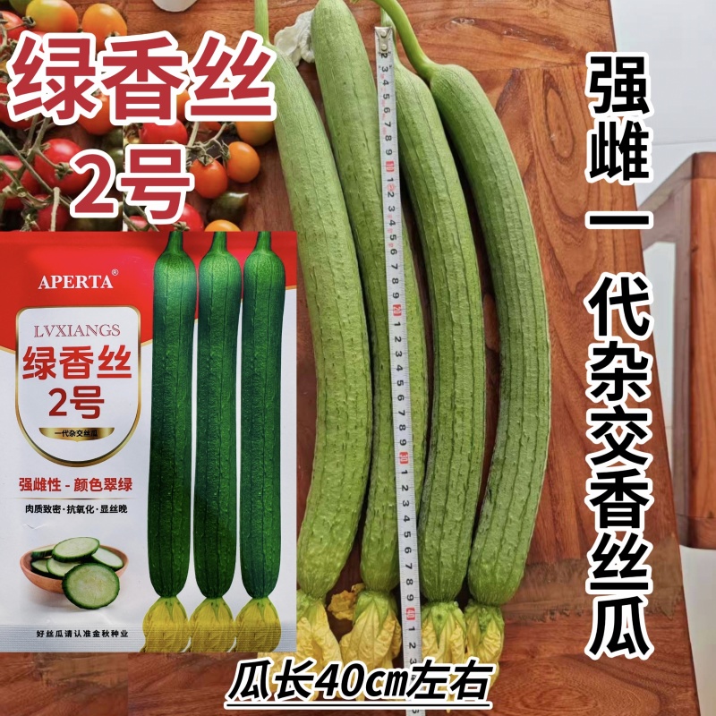 绿香丝3号丝瓜种子杂交早熟翠绿长香丝瓜种籽产量高鲜花丝瓜