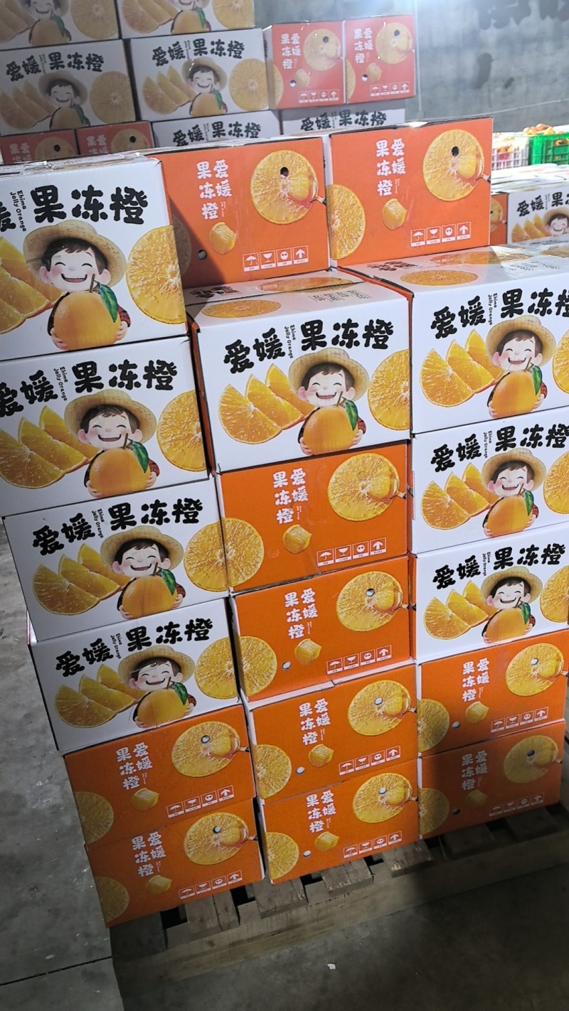 眉山爱媛38号果冻橙