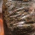 满口香香椿