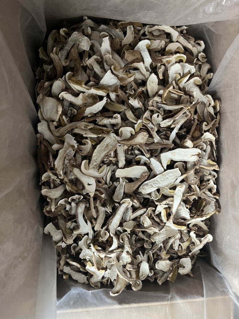 精品美味牛肝菌机烤片，低山生长，香味浓