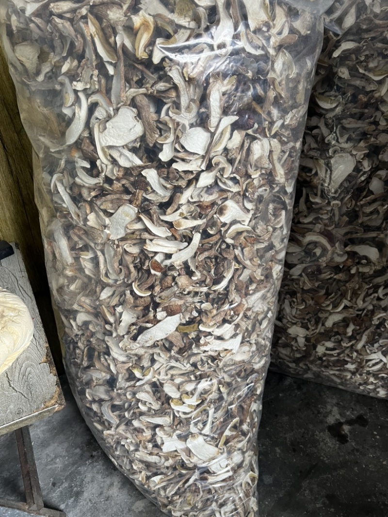 精品美味牛肝菌机烤片，低山生长，香味浓