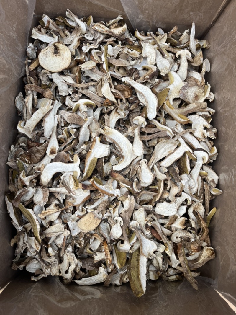 精品美味牛肝菌机烤片，低山生长，香味浓