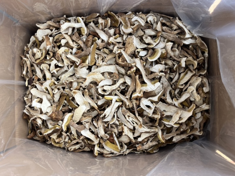 精品美味牛肝菌机烤片，低山生长，香味浓