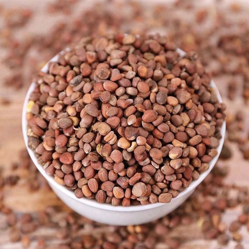 莱菔中药材莱菔子萝卜子人工挑选颗粒饱满中药材