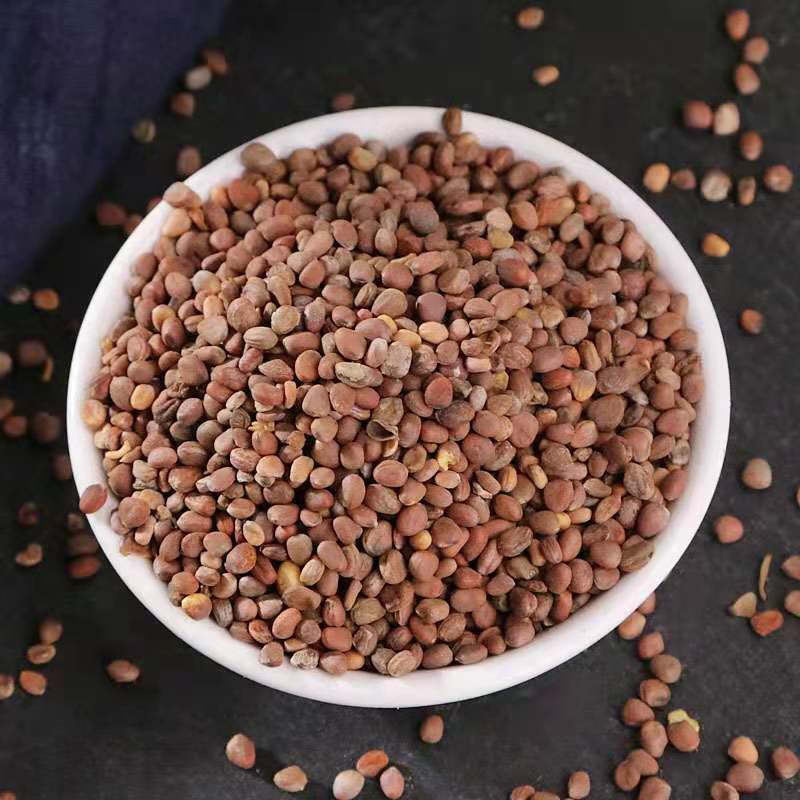 莱菔中药材莱菔子萝卜子人工挑选颗粒饱满中药材
