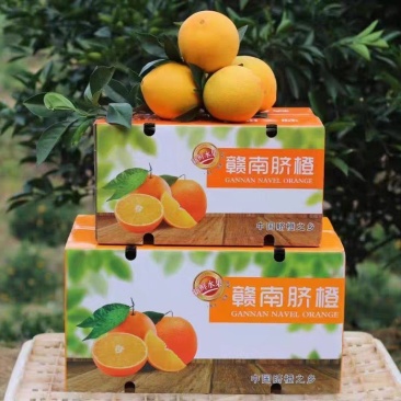 正宗赣南脐橙