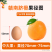 正宗赣南脐橙