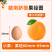 正宗赣南脐橙