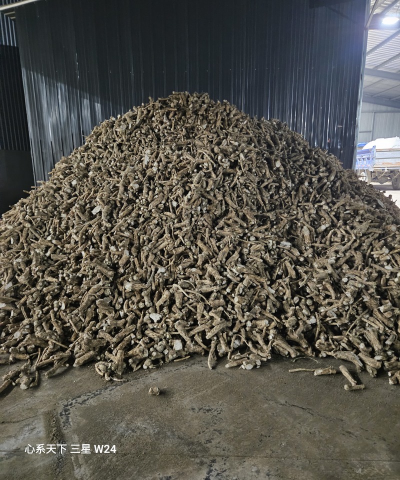 10000亩辣根种植协会