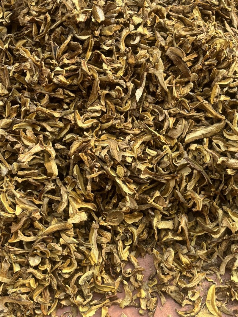精品黄牛肝（黄香菌）机烤片，加工手选货