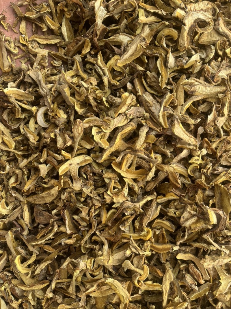 精品黄牛肝（黄香菌）机烤片，加工手选货