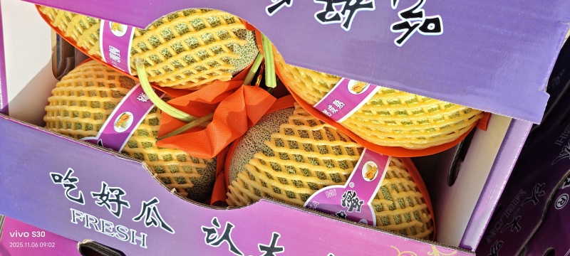 哈蜜瓜