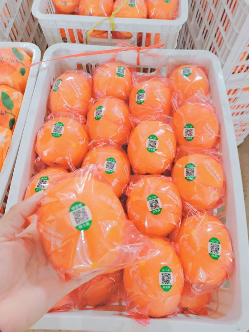 纽荷尔脐橙，产地直发，新鲜采摘，价格便宜