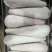 单个包装精品牛舌
