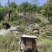河南深山土蜂蜜