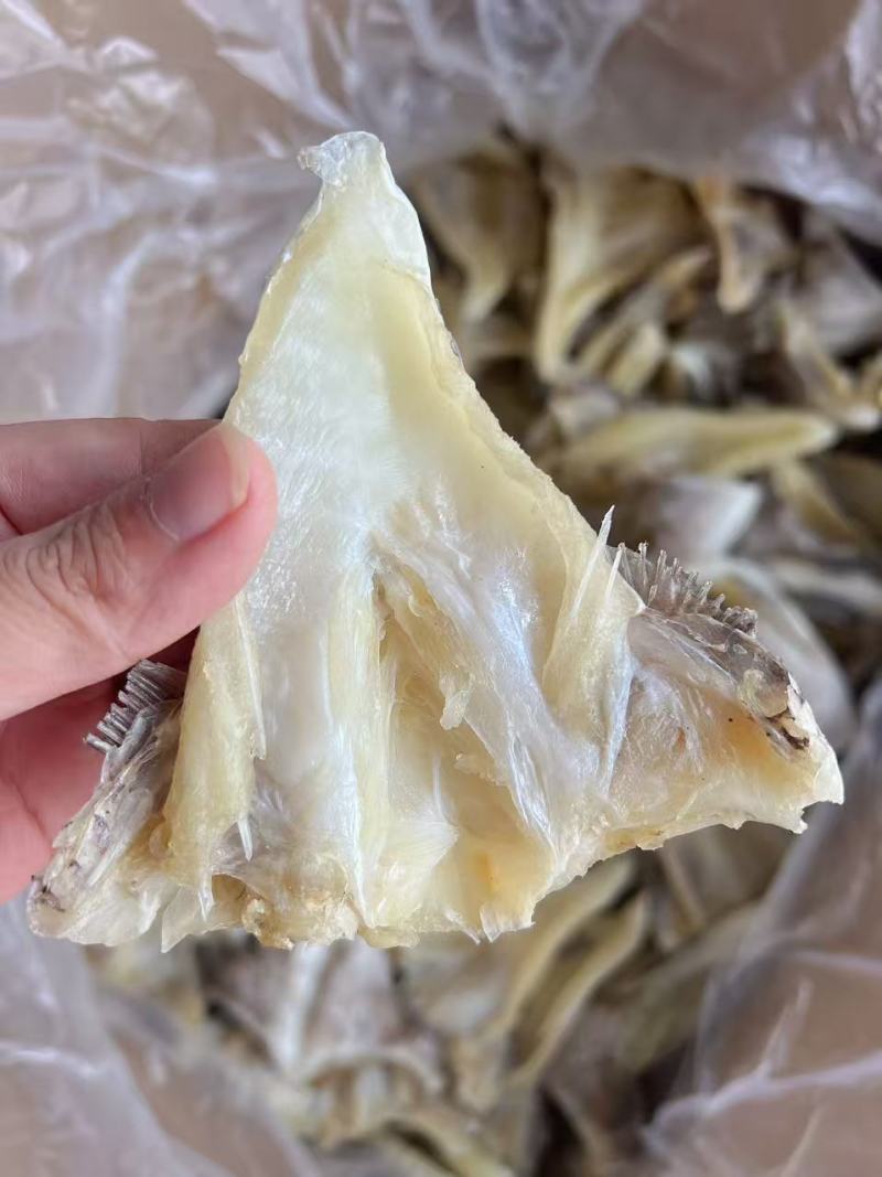 鱼下巴干地摊电商批发鱼下巴石斑鱼下巴鱼干干鱼
