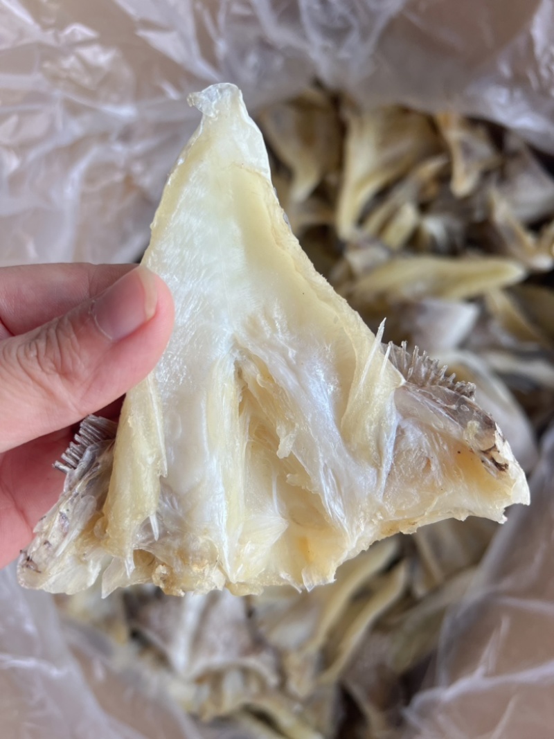 鱼下巴干地摊电商批发鱼下巴石斑鱼下巴鱼干干鱼