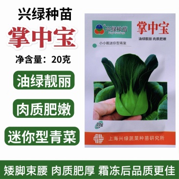 掌中宝小青仔种子上海小青菜种子油绿矮脚迷你型青梗菜种子